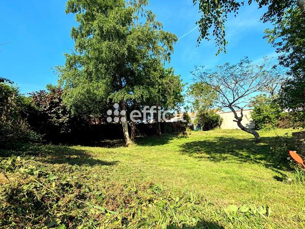 Terrain
        
        - 617 m² 115 000 € *