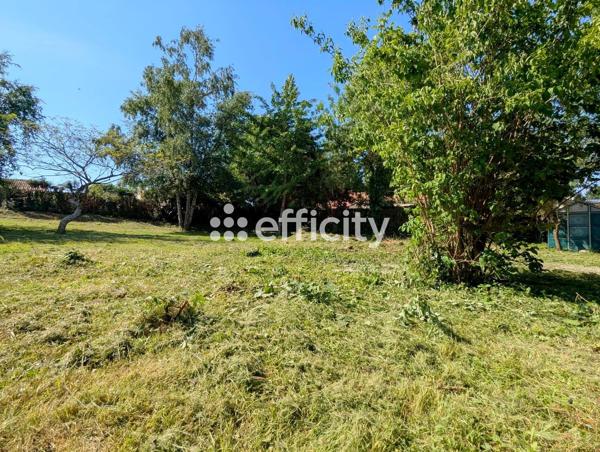 Terrain
        
        - 617 m² 115 000 € *