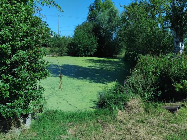 Fermette sur environ 2 hectares de terrain