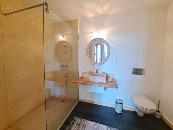 Domaine de 29 Hectares avec Maison Rénovée, Piscine, Vignoble