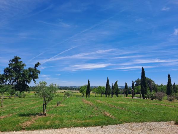 Domaine de 29 Hectares avec Maison Rénovée, Piscine, Vignoble