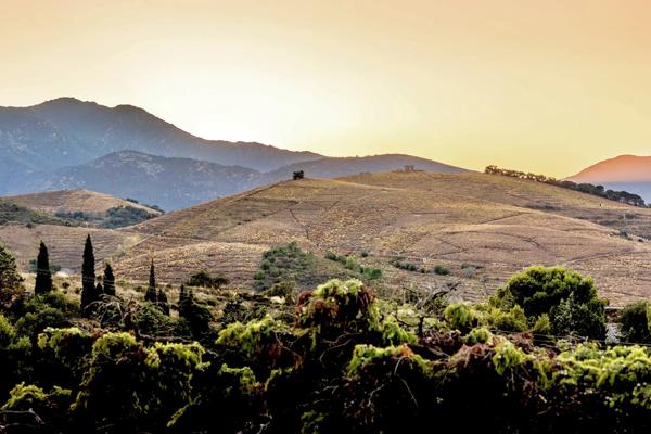 MAS D'EXCEPTION, VUE PANORAMIQUE MER ET MONTAGNE, BANYULS SUR MER