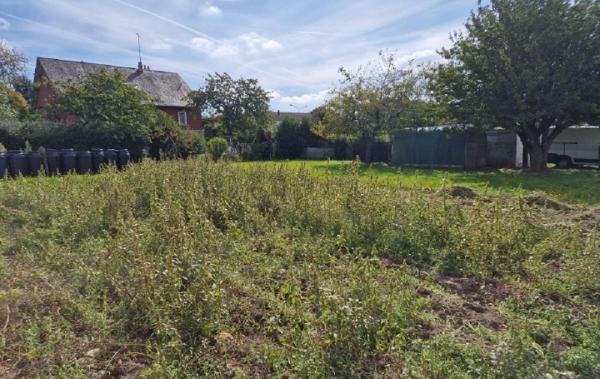 Vente Terrain La loupe   