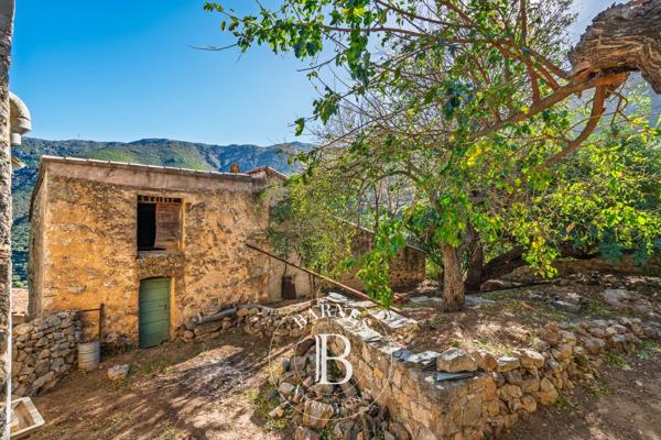 L'Île-Rousse, Villa  239 m² à vendre