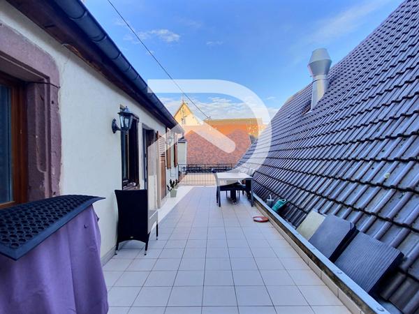 Local commercial 6 pièces 326 m2