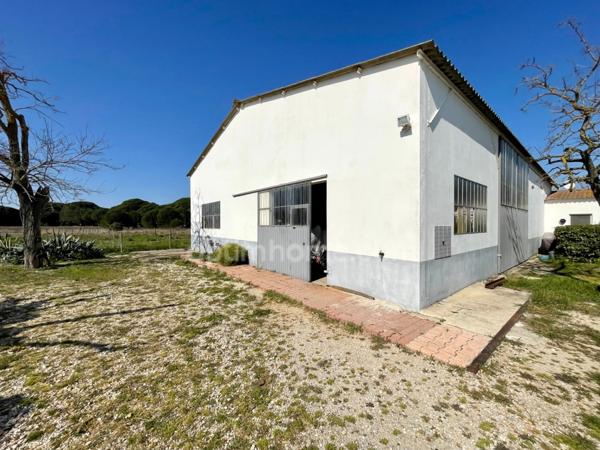 Mas d'Exception en Camargue 20 pièces - 453 m² sur 6 hectares