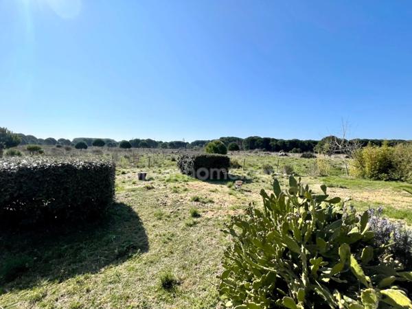 Mas d'Exception en Camargue 20 pièces - 453 m² sur 6 hectares