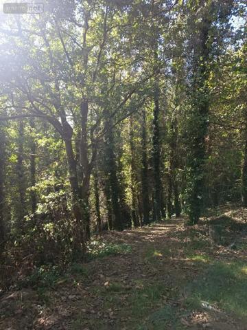 Achat - Maison Pontivy 56300 110 m 2 8713 m 2