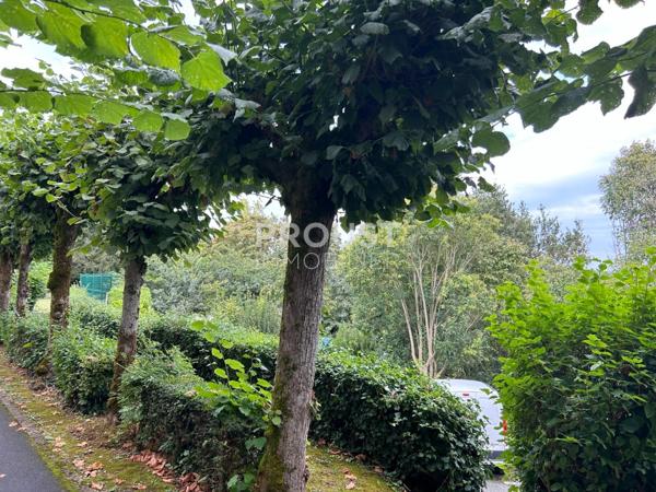 Exclusivité, niort quartier ribray, appartement de 47 m²