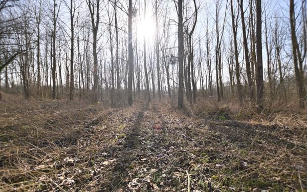 Maison à vendre    4 pièces •  Abbeville