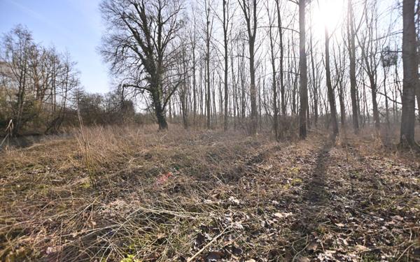 Maison à vendre    4 pièces •  Abbeville