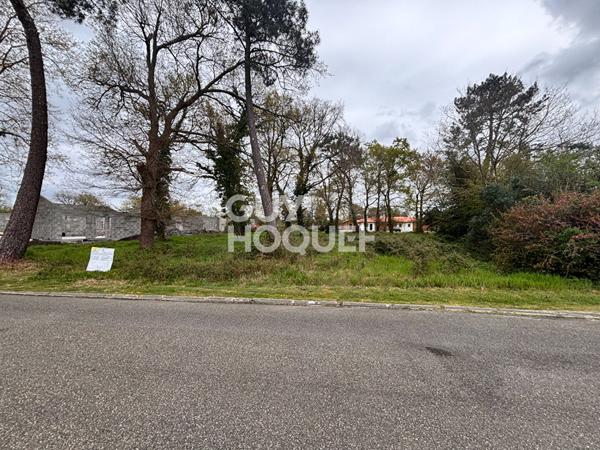 Terrain Labouheyre 1200 m2