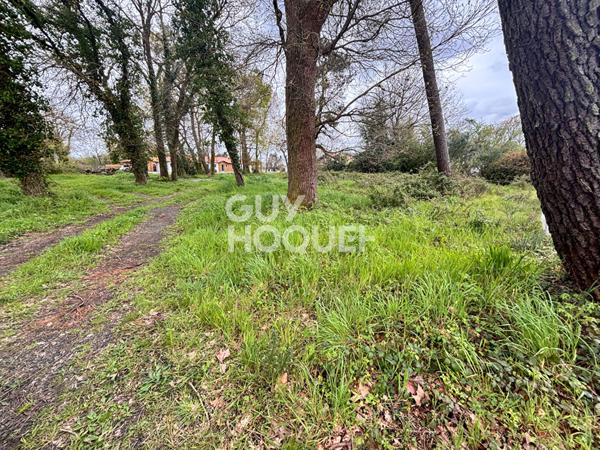 Terrain Labouheyre 1200 m2