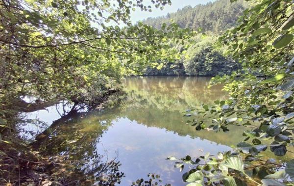 Vente Maison Les vans   