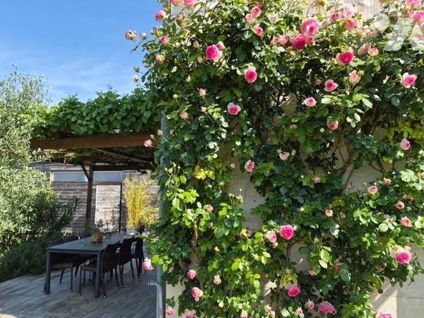Maison Chinon
