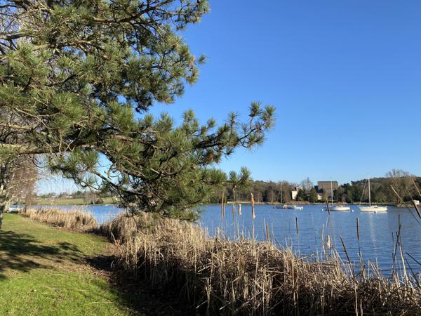 Ballan-Miré (37510) Lac des Bretonnières