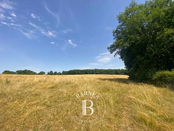 Savigny-sur-Braye, Maison 10 Chambres -  290 m² à vendre