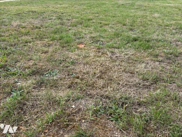 Terrain à bâtir Les Damps