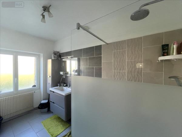 Maison restaurée à vendre à Saint-Lubin-en-Vergonnois dans le Loir-et-Cher (41190), ref : 41002-1089922