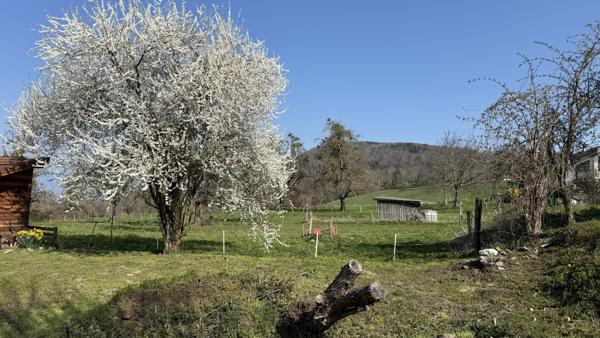 Terrain à bâtir au calme