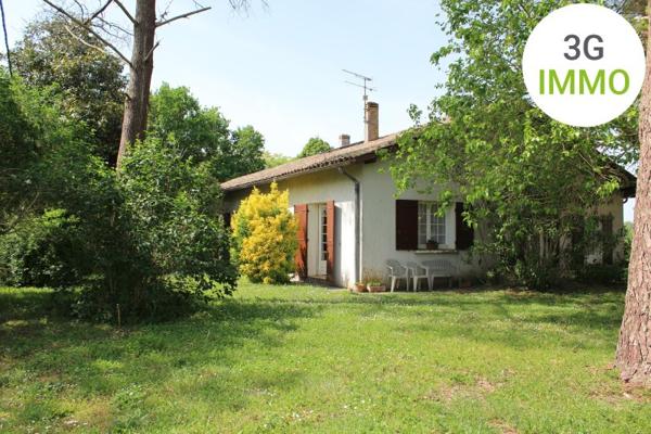 Vente / Maison et grand terrain