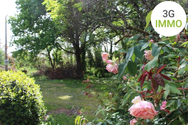 Vente / Maison et grand terrain