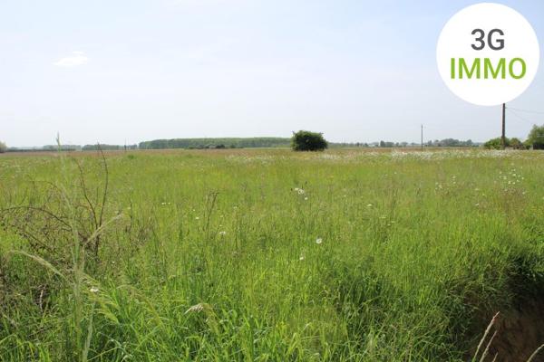 Vente / Maison et grand terrain