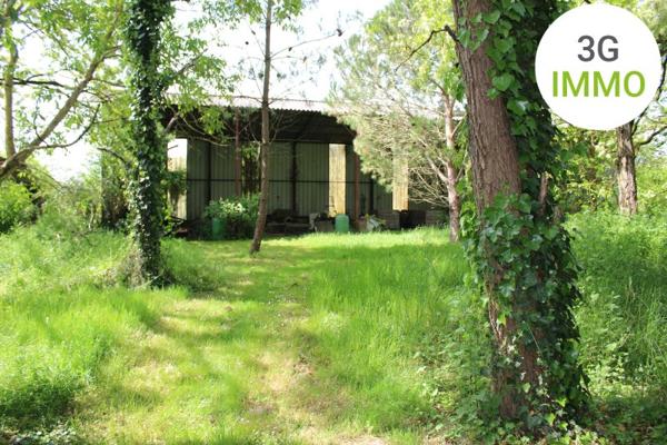 Vente / Maison et grand terrain