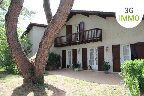Vente / Maison et grand terrain