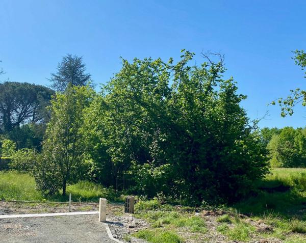 Terrain à vendre viabilisé 573 m² LE TAILLAN MEDOC (33) Libre de constructeur
