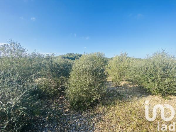 Terrain à vendre 4 910 m² Roquefort-des-Corbières