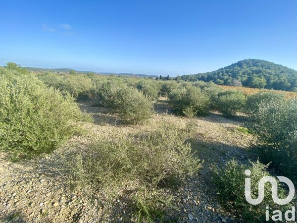 Terrain à vendre 4 910 m² Roquefort-des-Corbières