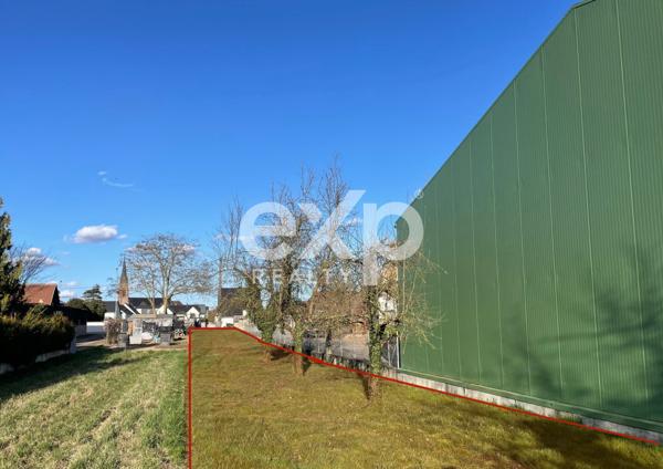 Terrain dans Westhouse