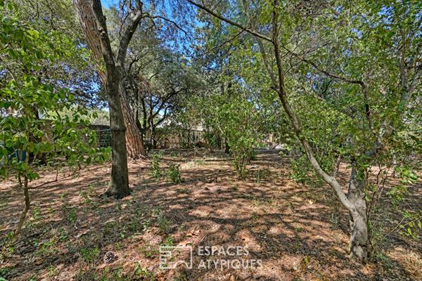 Ancien chai avec son parc boisé