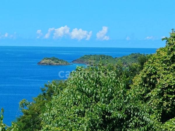 Terrain à vendre de 4 516,00 m² BOUILLANTE (971)