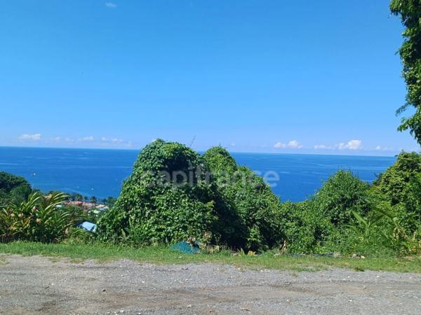 Terrain à vendre de 4 516,00 m² BOUILLANTE (971)