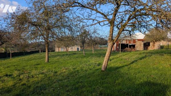 Maison en pierre à vendre avec 7 700m² de terrain