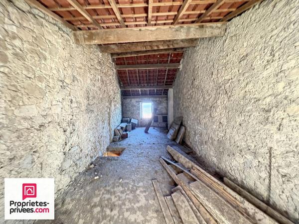 Maison de village traversante avec terrasse caves