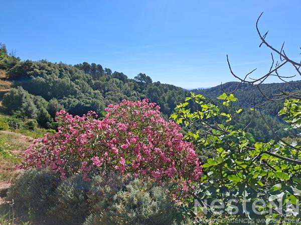 Maison 6 pièces à vendre à Saint Martin de Boubaux - Hameau Calme avec vue magnifique
