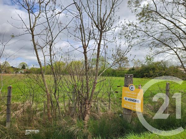 Terrain à vendre  1013 m 2   LESPARRE MEDOC  - 33
