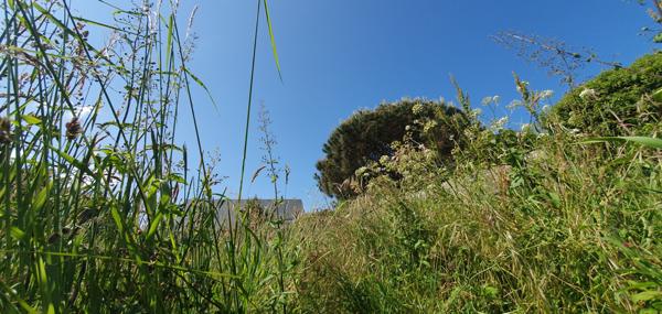 Terrain Saint Gildas De Rhuys 555 m2