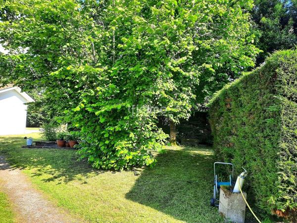 Maison lumineuse aux volumes généreux dans un écrin de verdure