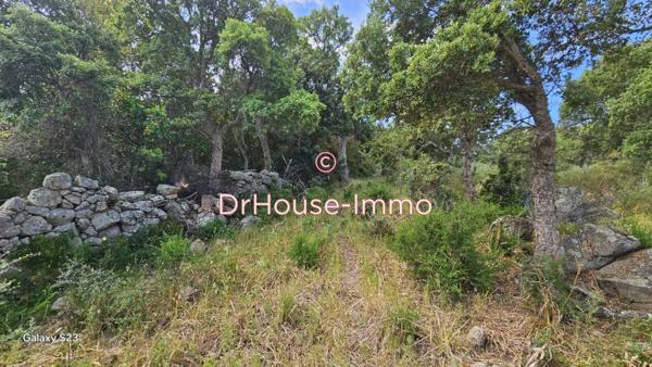 Terrain à vendre de 1 490 m²