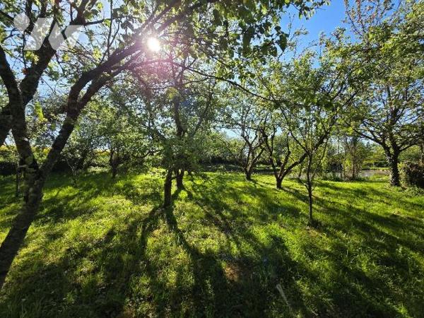 5 min. VILLAINES-LA-JUHEL, en campagne, terrain de loisirs (non constructible) sur lequel un pl...