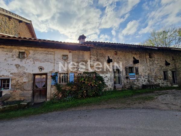 Maison a Busserolles a 7km de Piegut Pluviers renovee, beau jardin et parcelle bois