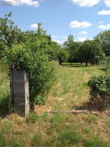 Terrain à Batir à vendre à Chasseneuil dans l'Indre (36800), ref : 037/2037