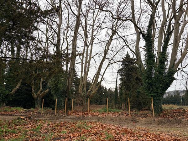 Terrain de loisirs Pujaut 1682 m2 61000