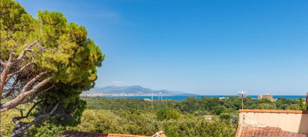 Villa 7 pièce(s) 295 m2, piscine, jardin, la Constance Antibes