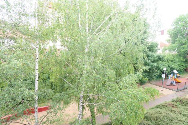 T3 Duplex - Morny