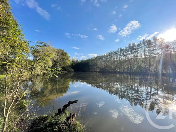 Terrain à vendre  8740 m2 LANGON - 41